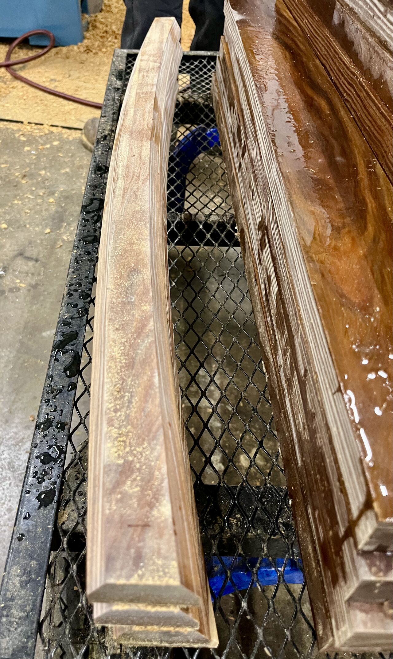 Bearing seal made with Lignum Vitae