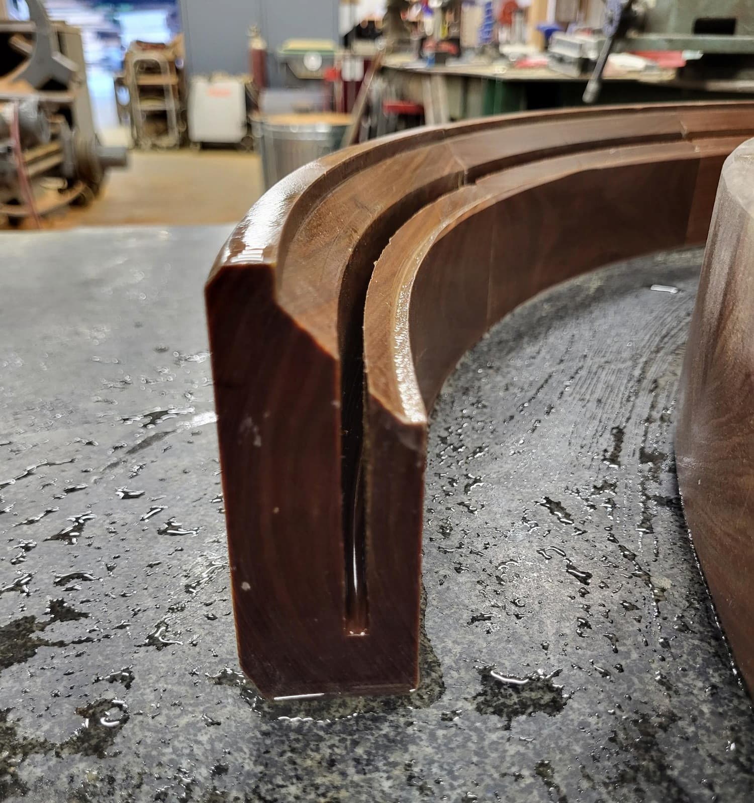 Bearing seal made with Lignum Vitae