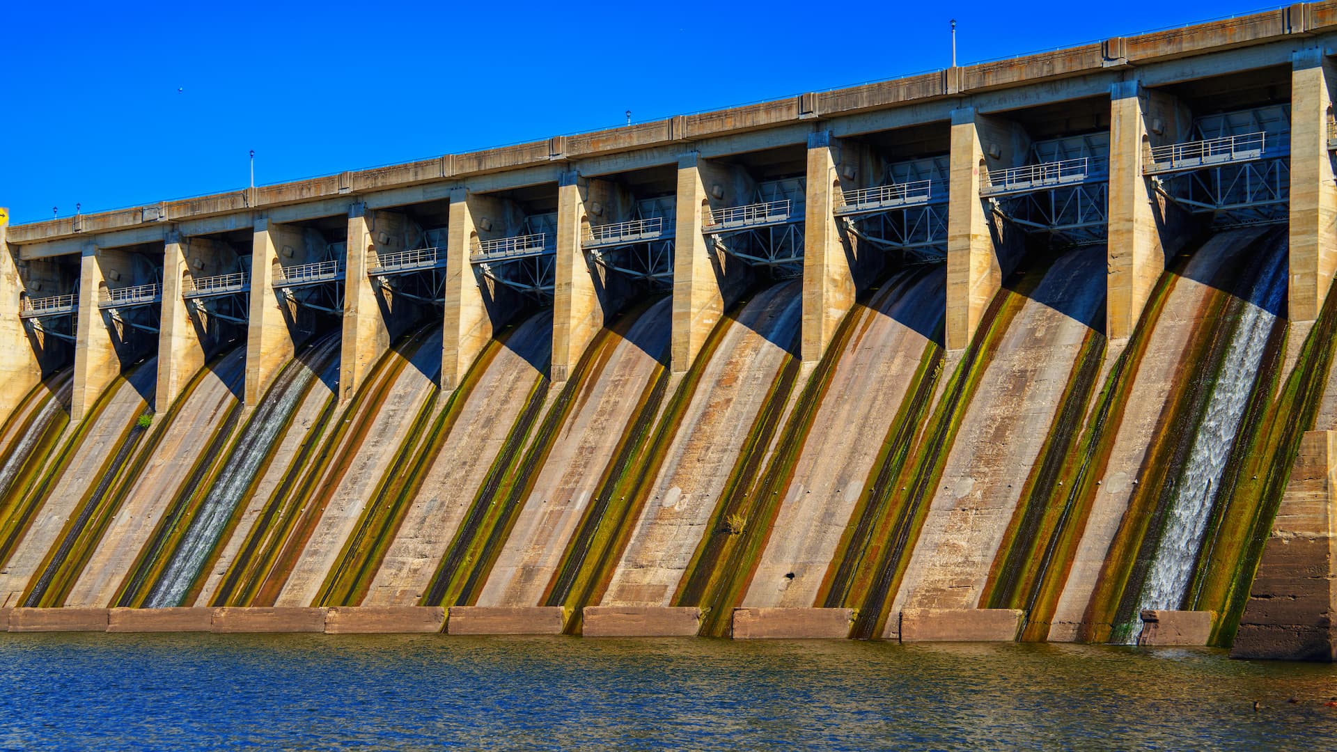 Bagnell Dam in Missouri uses Lignum Vitae bearings